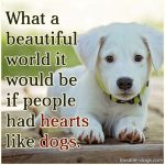 What A Beautiful World It Would Be If People Had Hearts Like Dogs