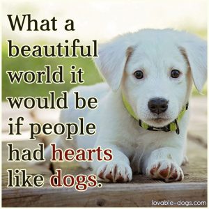 What A Beautiful World It Would Be If People Had Hearts Like Dogs ...
